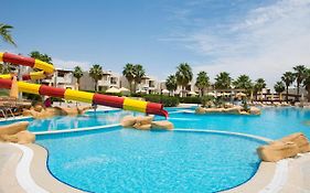 Amphoras Aqua Adults Friendly